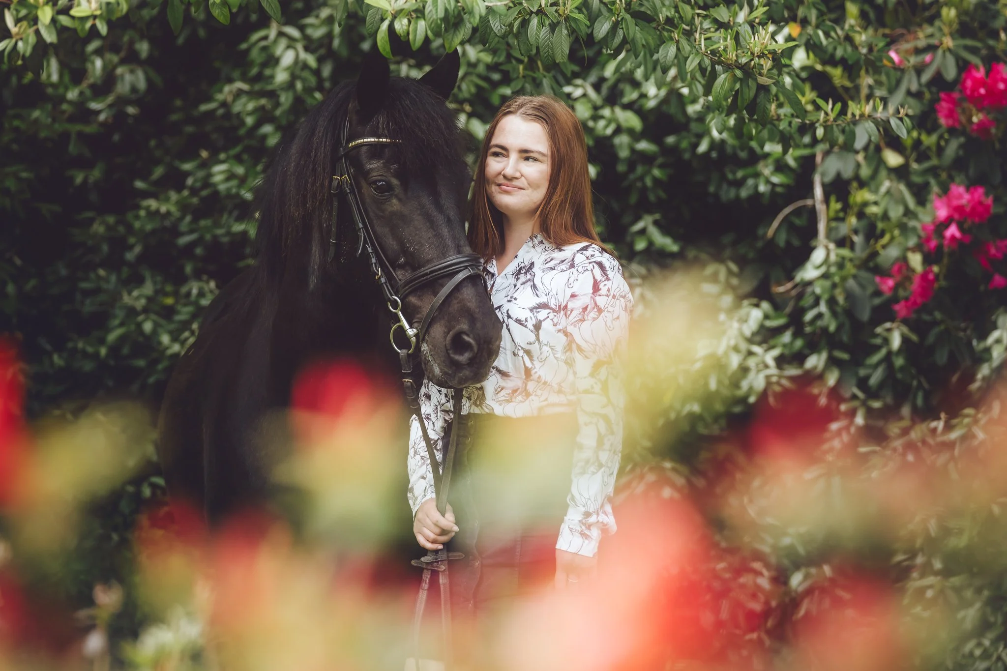 equine photography woodland session golden summer light