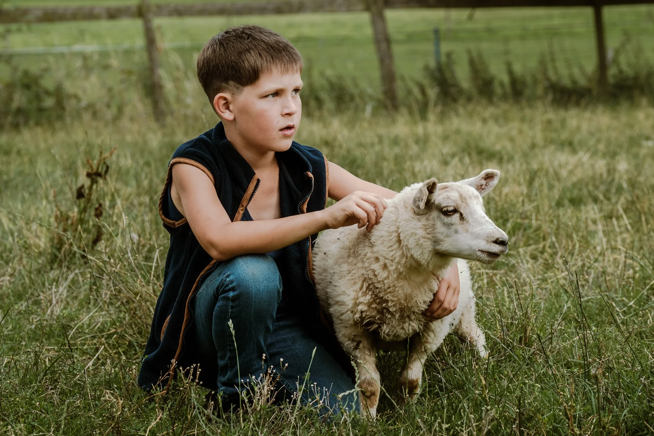 A young boy kneeling in the grass, petting a small white sheep, with a green field and wooden fence in the background.