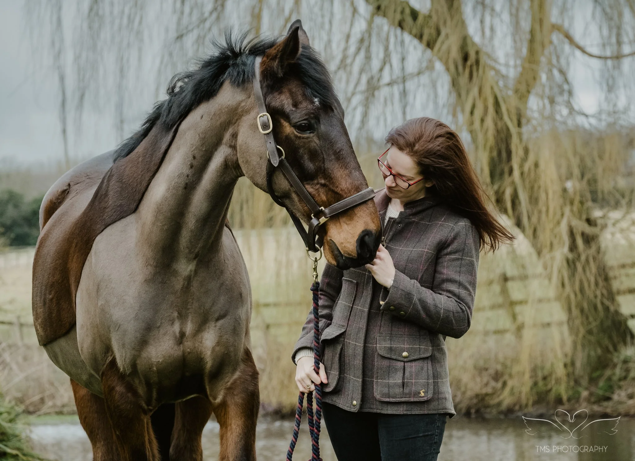 horse and owner connection photography