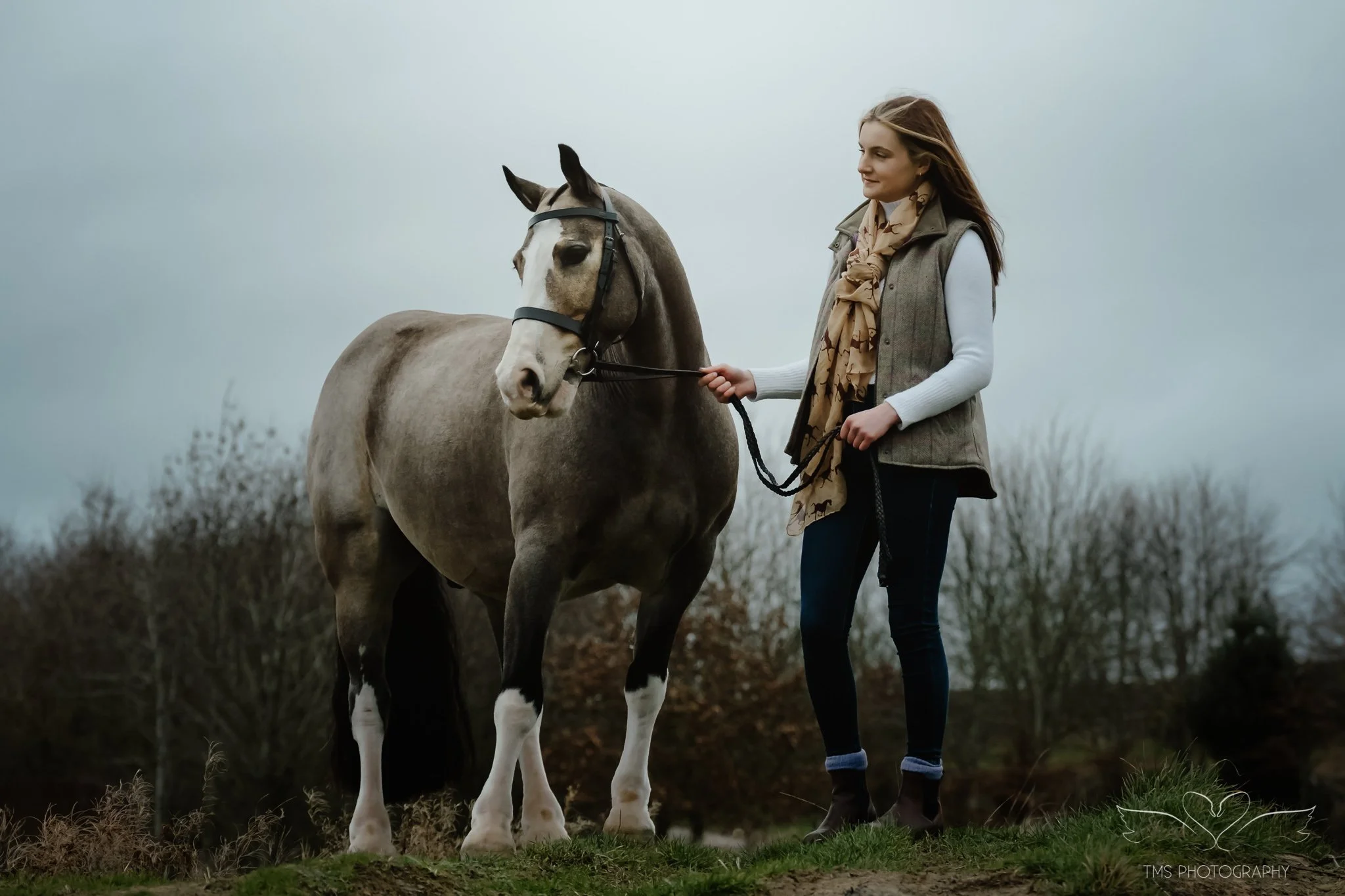 Buckskin pony Del-Boy looking handsome up on the hill in the yard