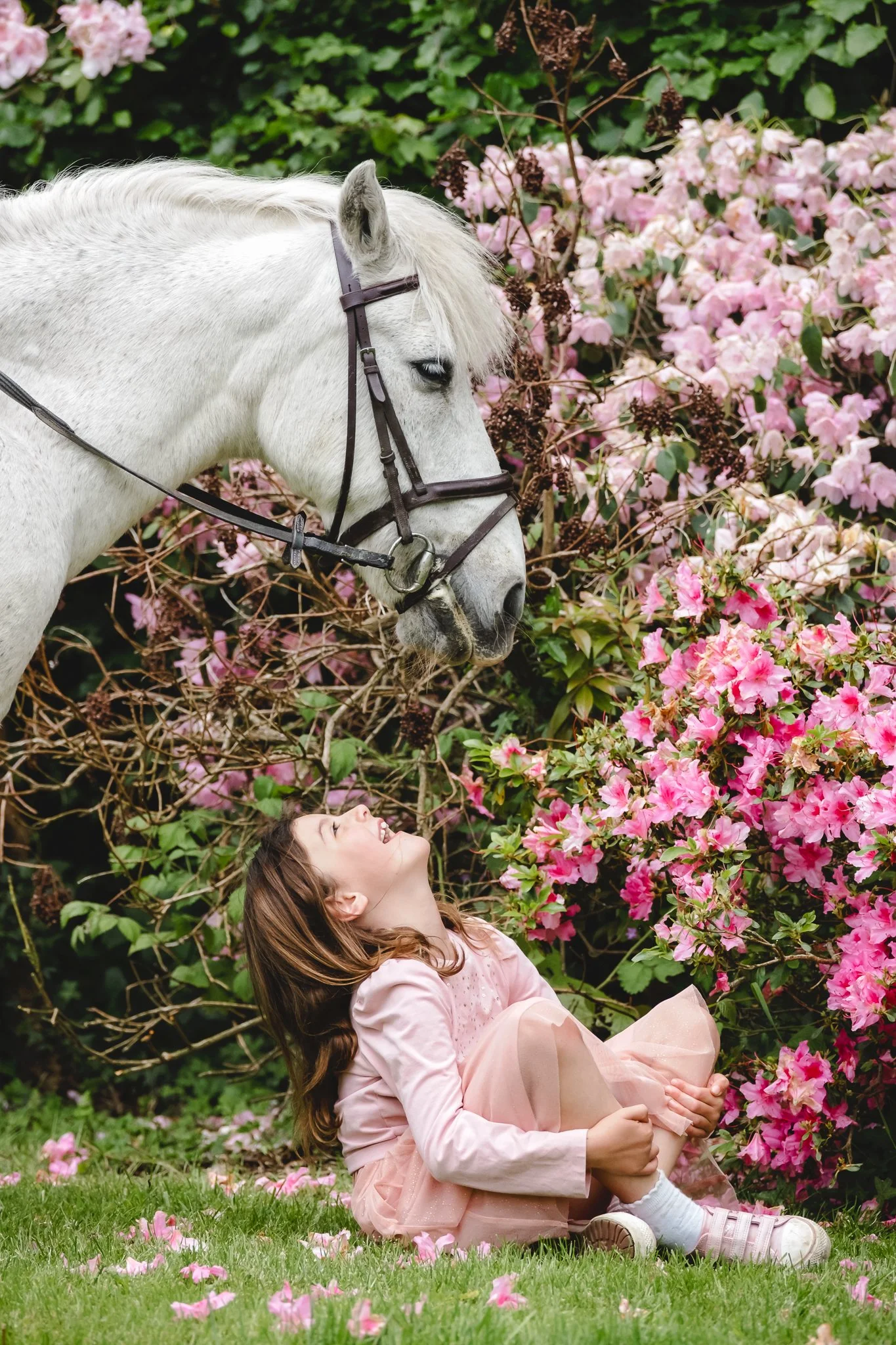 relaxed pony and child photography session outdoors