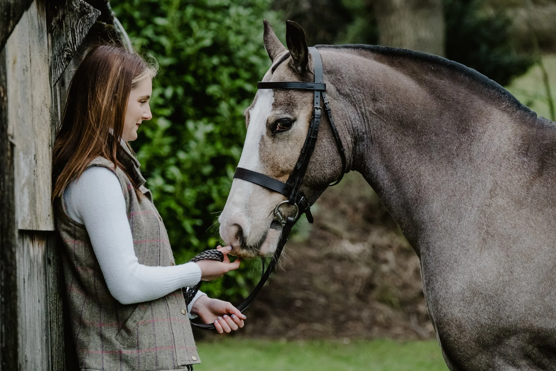 A young woman with brown hair, wearing a white long sleeve shirt and a plaid vest, stands next to a wooden wall, holding a gray horse's lead rope. The horse, with a white stripe on its face, is gently touching her hand with its nose. They are outdoors with greenery in the background.
