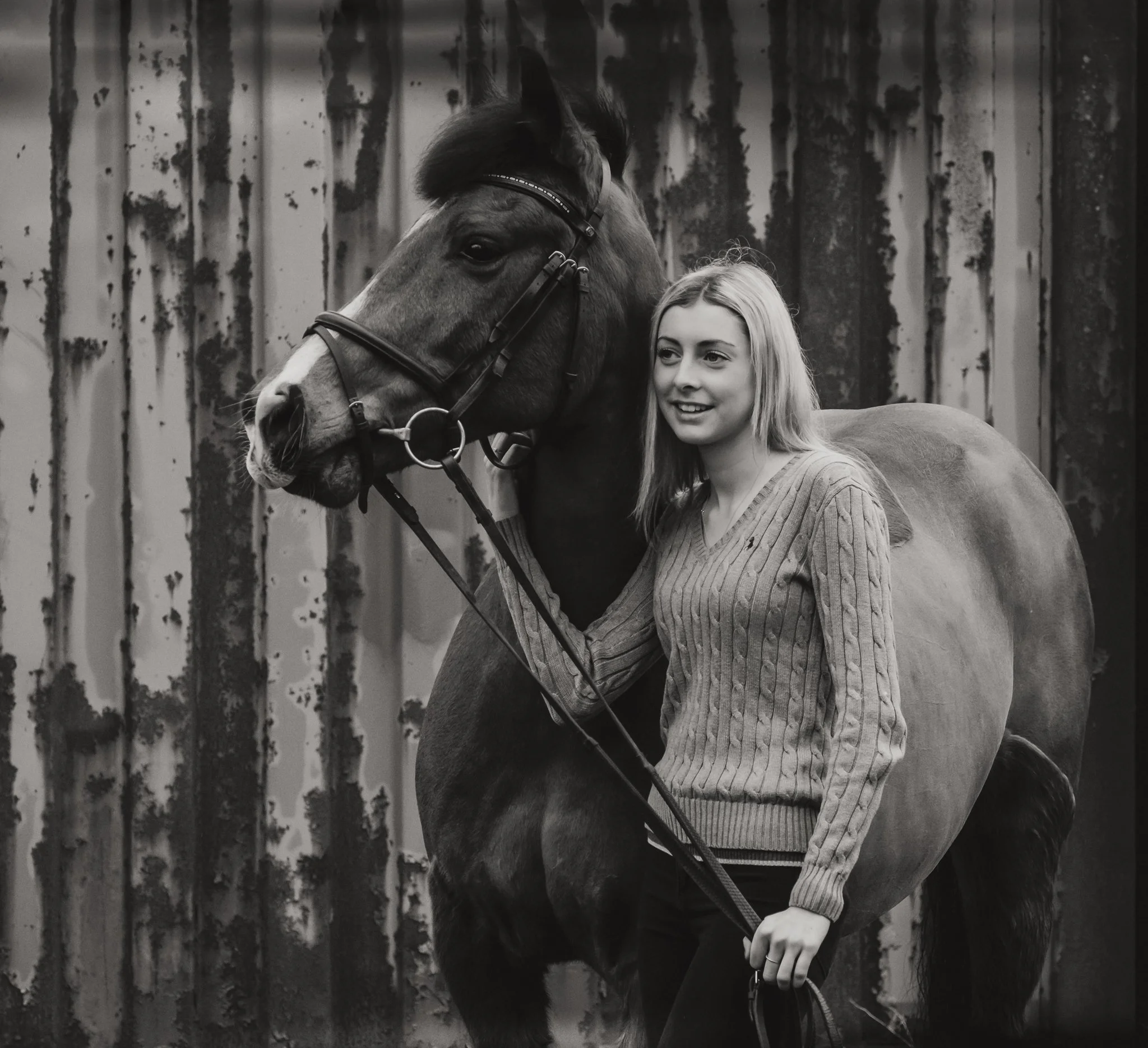 Equine photography at livery yard in the New Forest