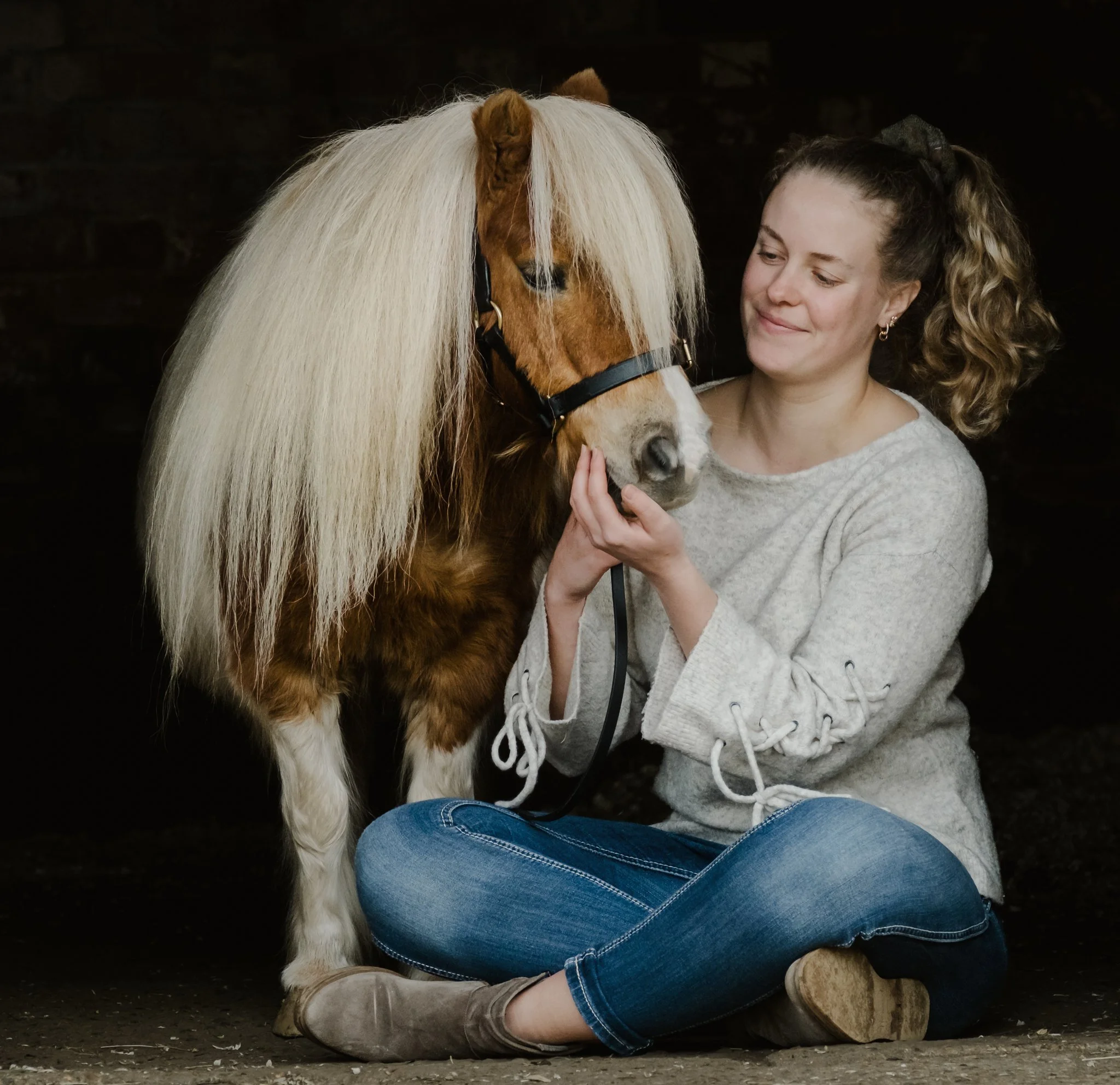 Mini Shetland pony photoshoot UK