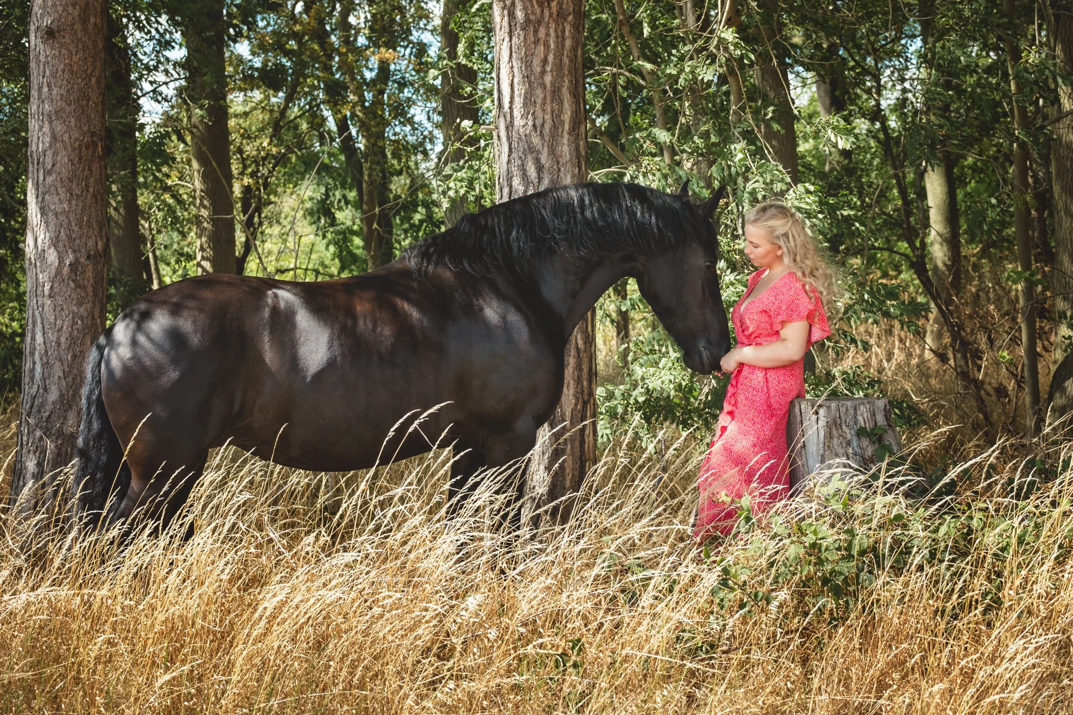 A woman in a red patterned dress standing in woodland with a Friesian horse 