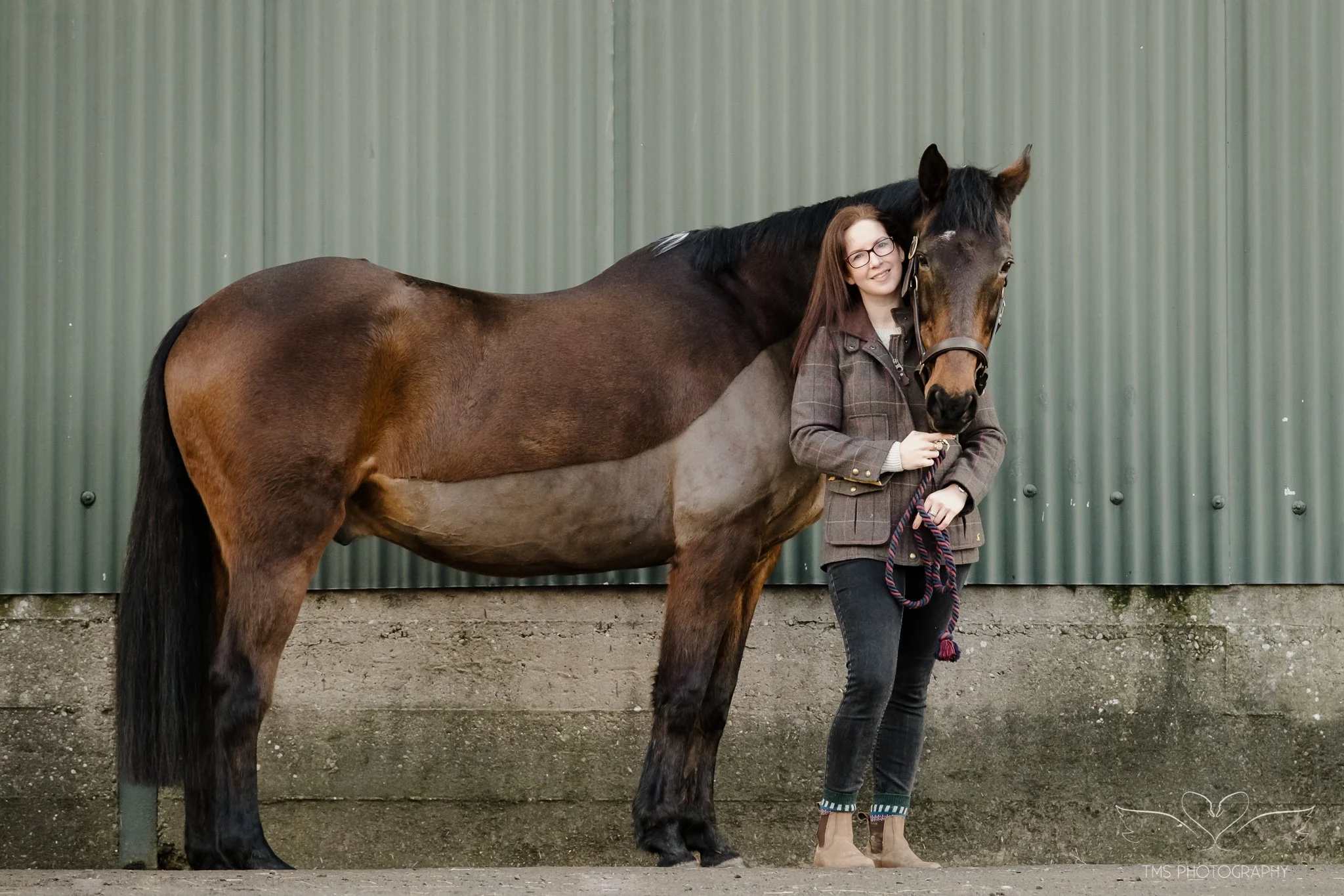 equine portrait session natural light Derbyshire