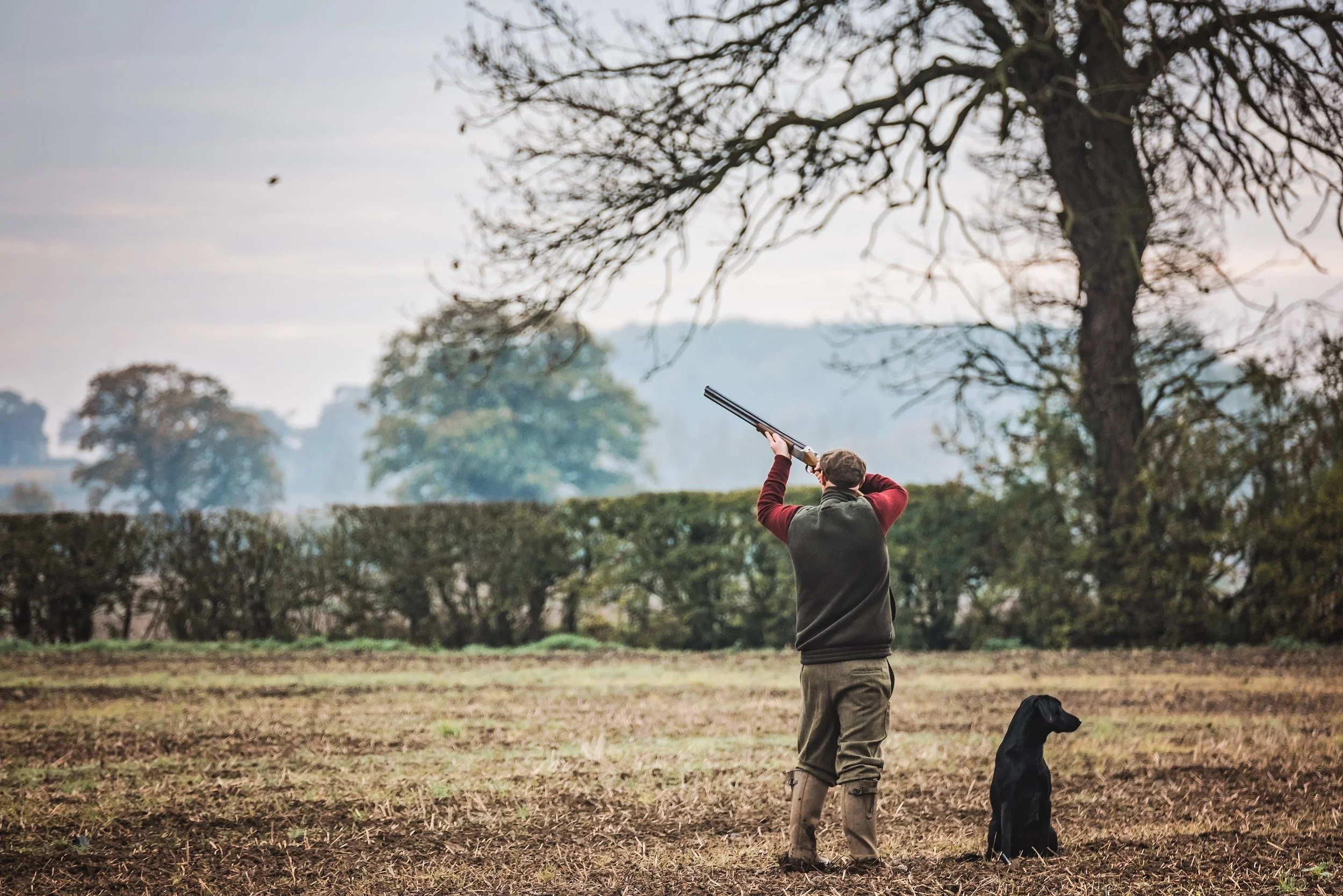 Dog-event-photography-shootday-50.jpg