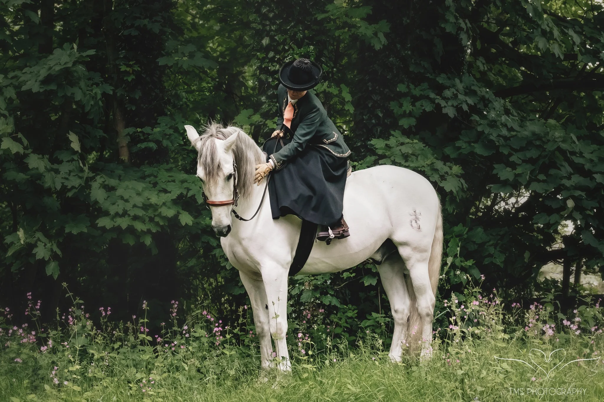 elegant equine photoshoot featuring Spanish tradition