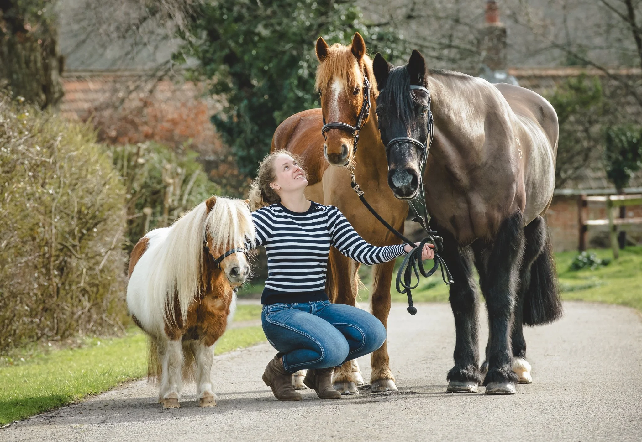 Horse and dog photoshoot countryside setting