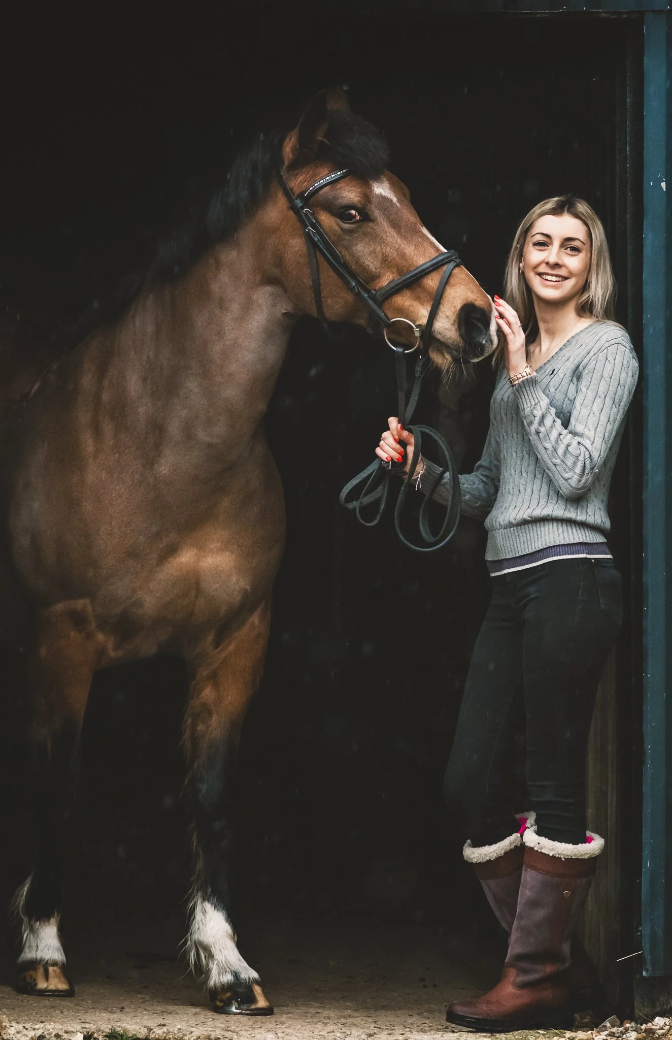 Horse portrait in soft natural light rainy day