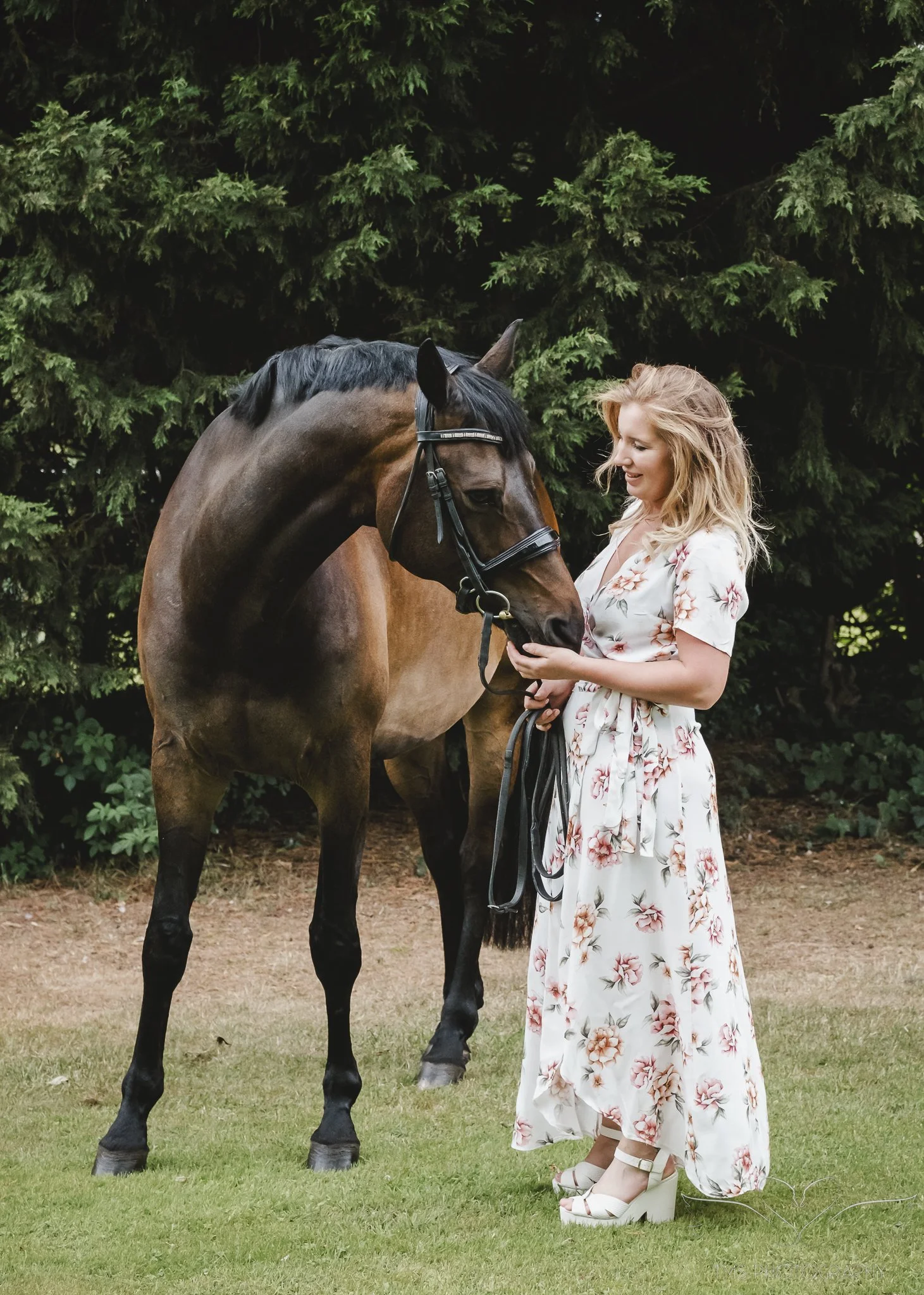 Dressage horse portrait with rider in flowing dress