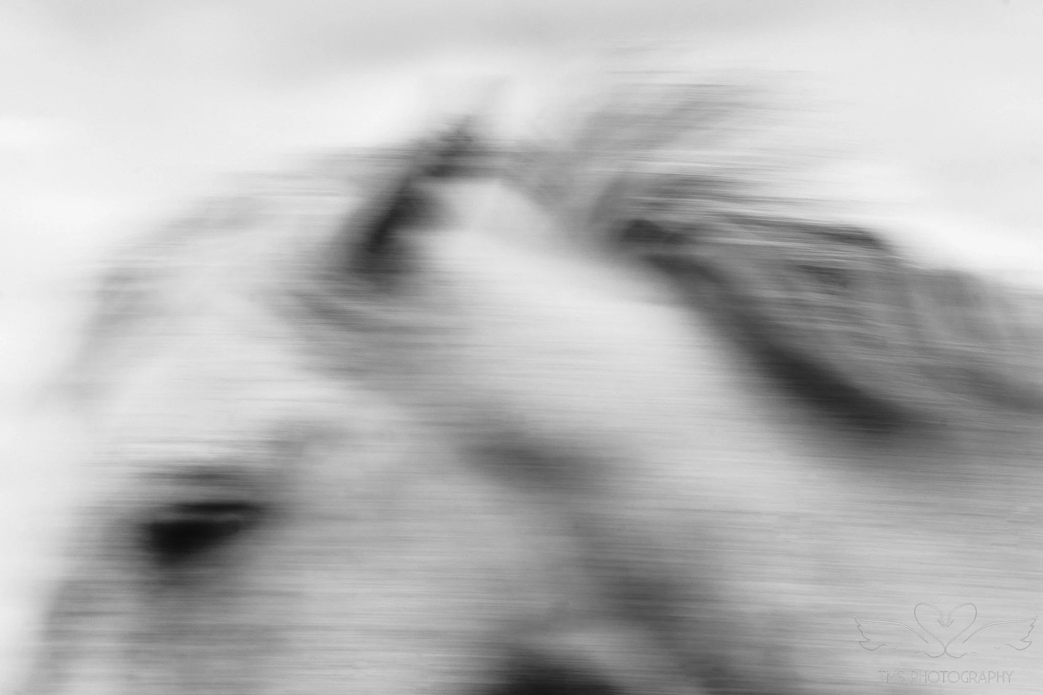Abstract black and white horse photograph created using slow shutter photography