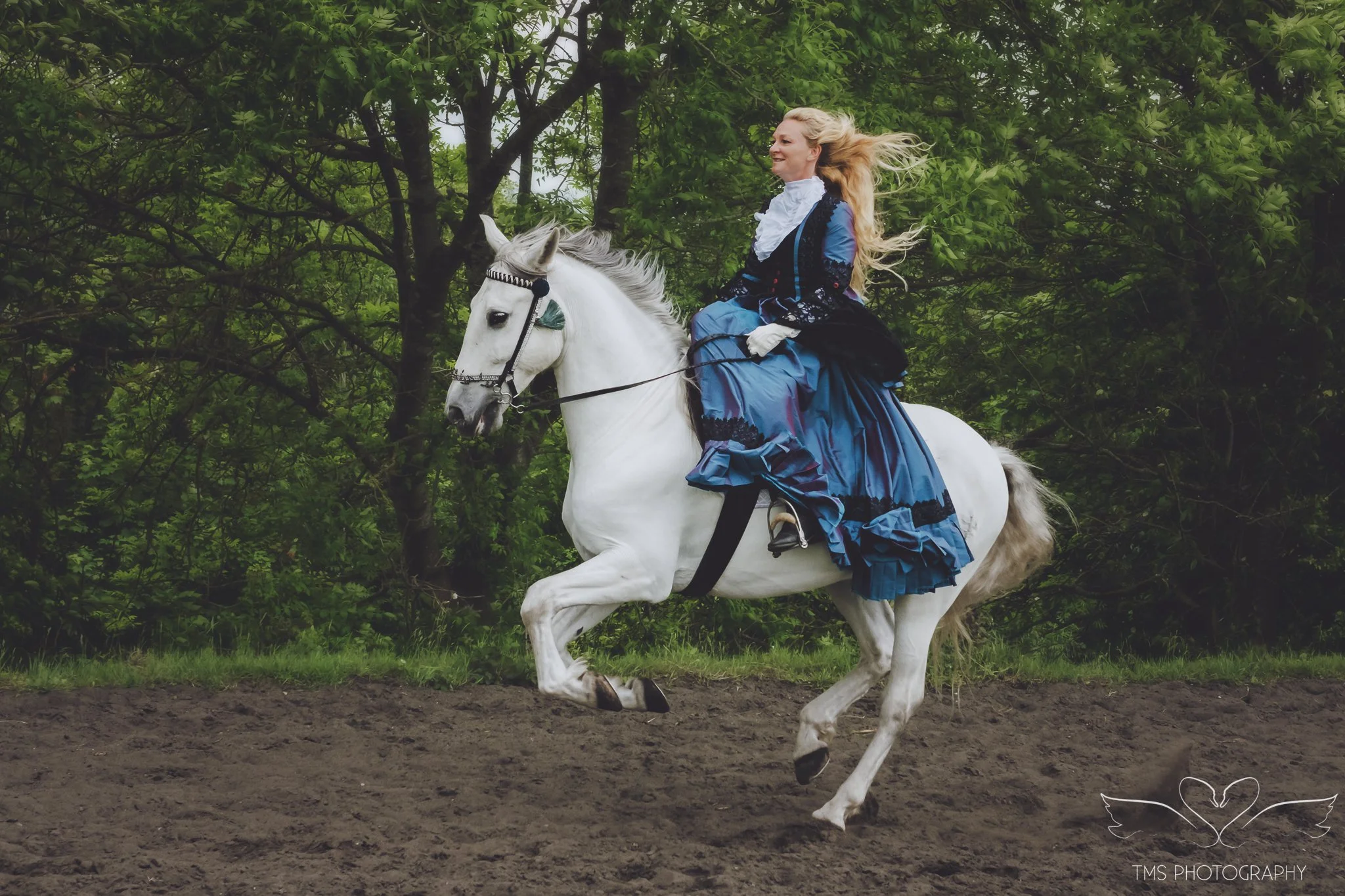 Historical equine photography session Warwickshire countryside