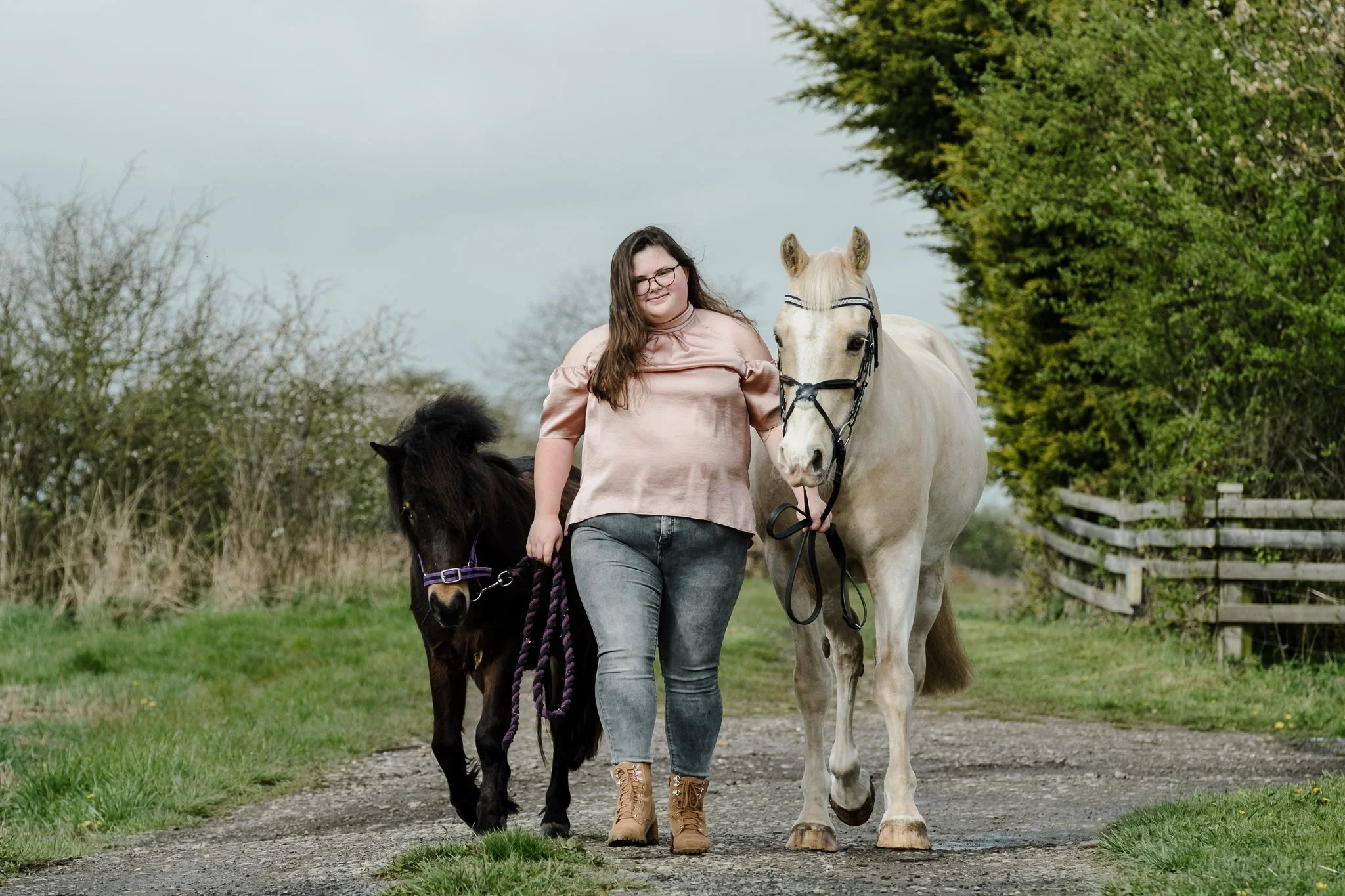 Welsh pony portrait photography in Aston-on-Trent Derbyshire