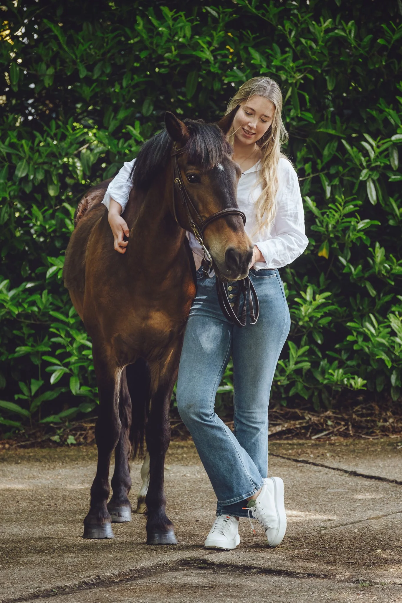Bay roan pony standing in woodland during photoshoot