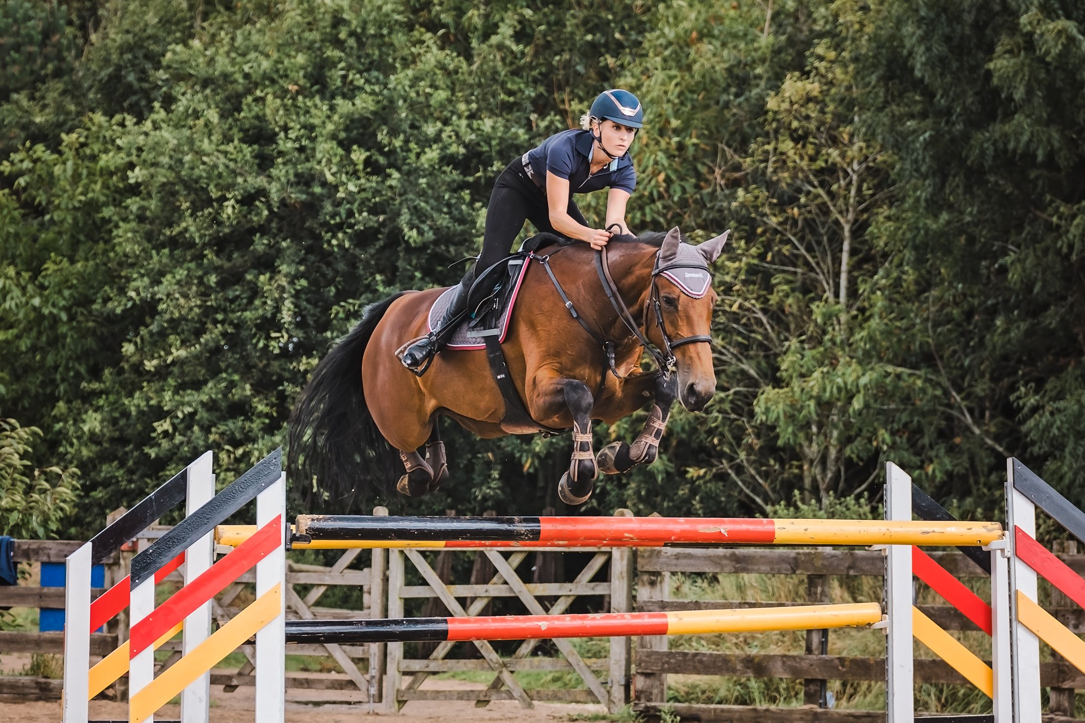equine-photoshoot-derbyshire-43.jpg