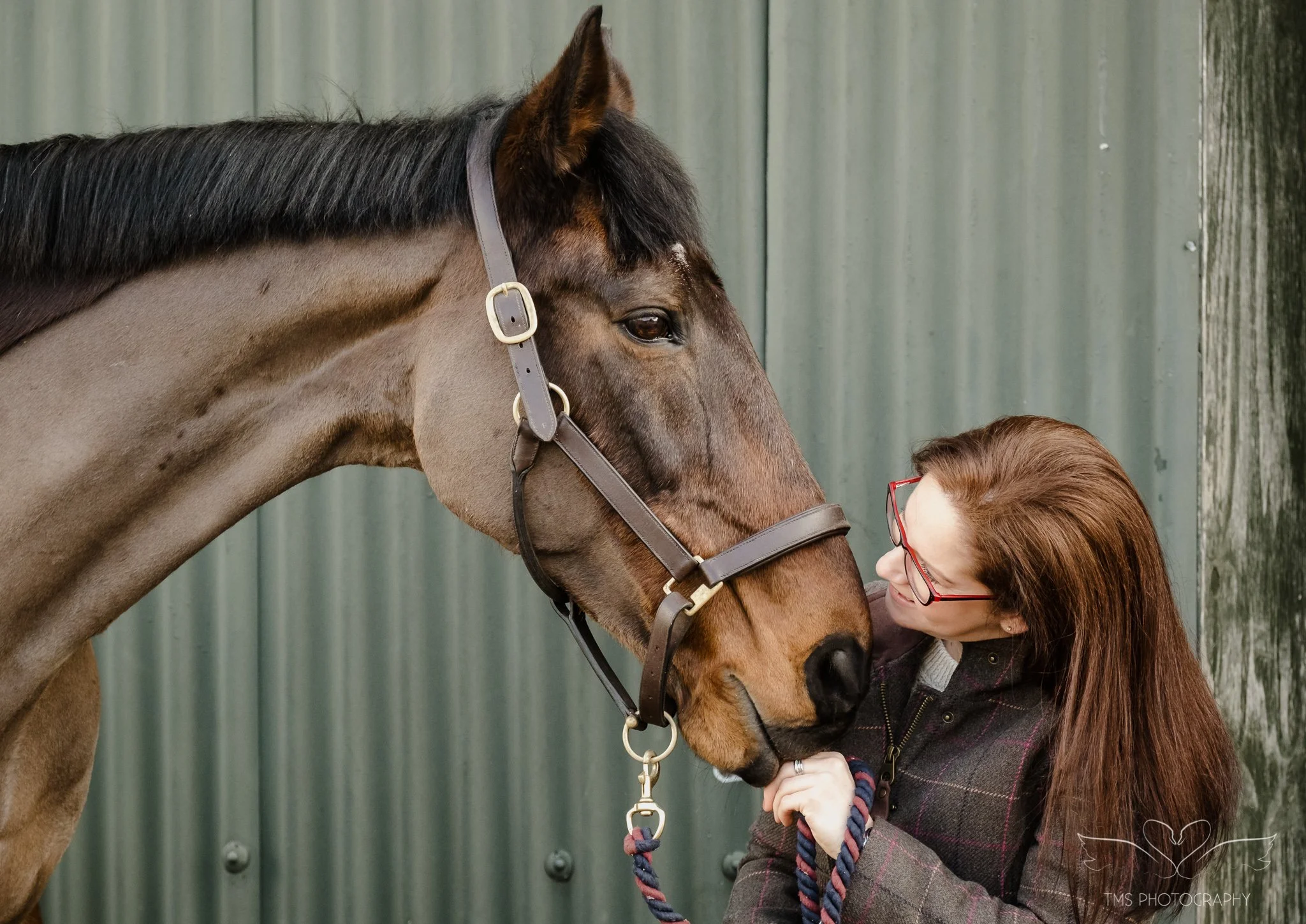 horse and owner connection photography