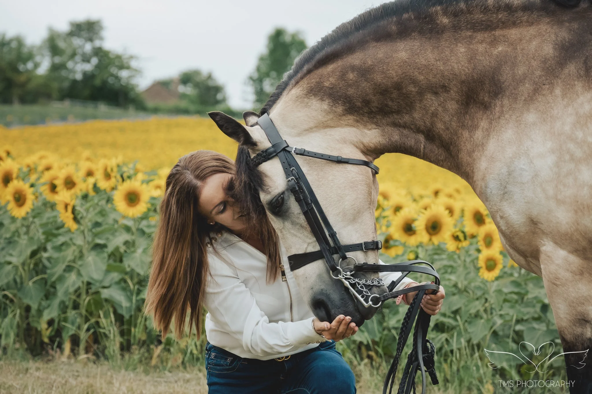 Summer equine photography at Barlow Fields