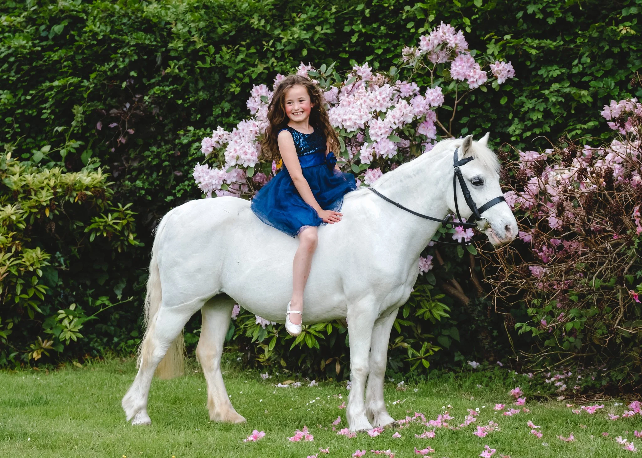 equine photographer capturing childhood pony memories