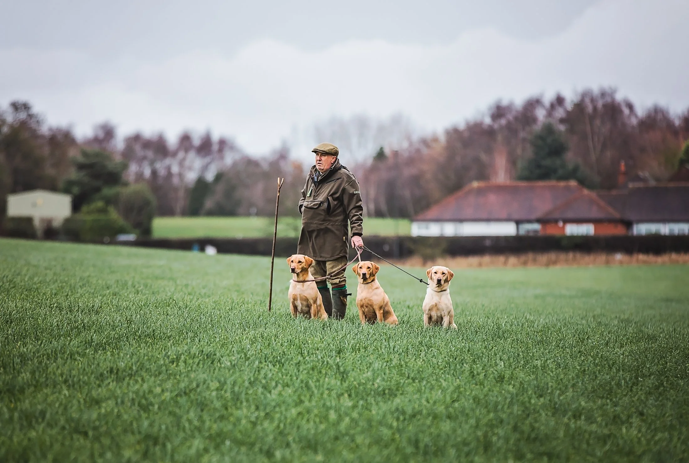 working-line-dogs-rural-countrylife-staffordshire-25.jpg