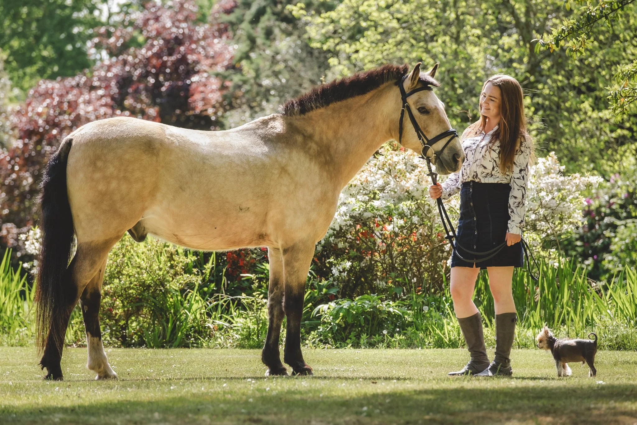 horse and owner connection natural equine portrait New Forest