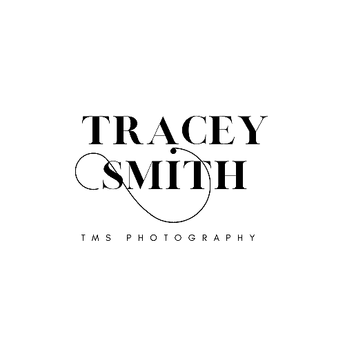 TMS Photography Where Memories Become Art