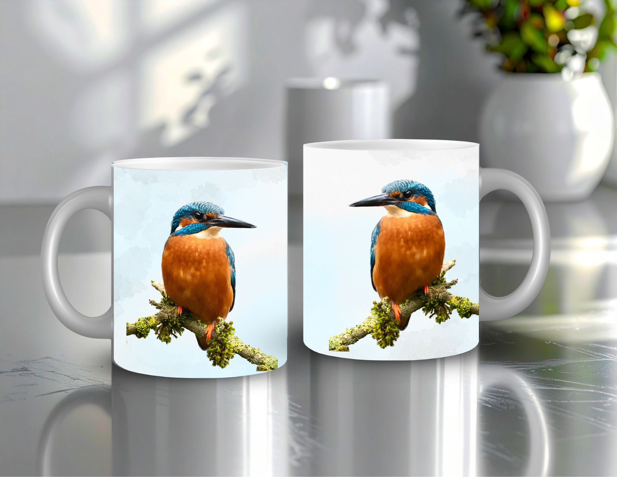Kingfisher Mock Up 1.png