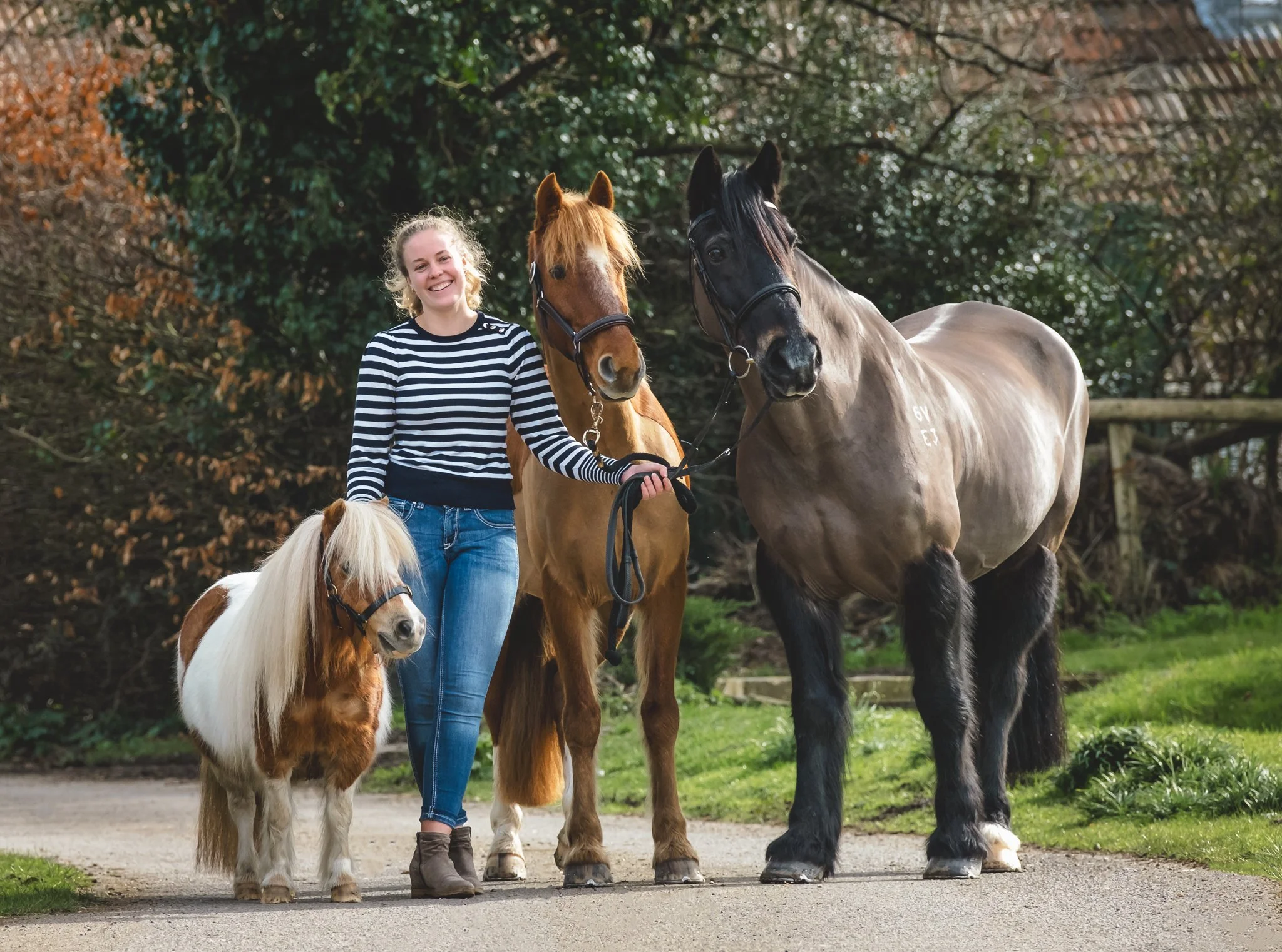 Equine photoshoot New Forest spring light