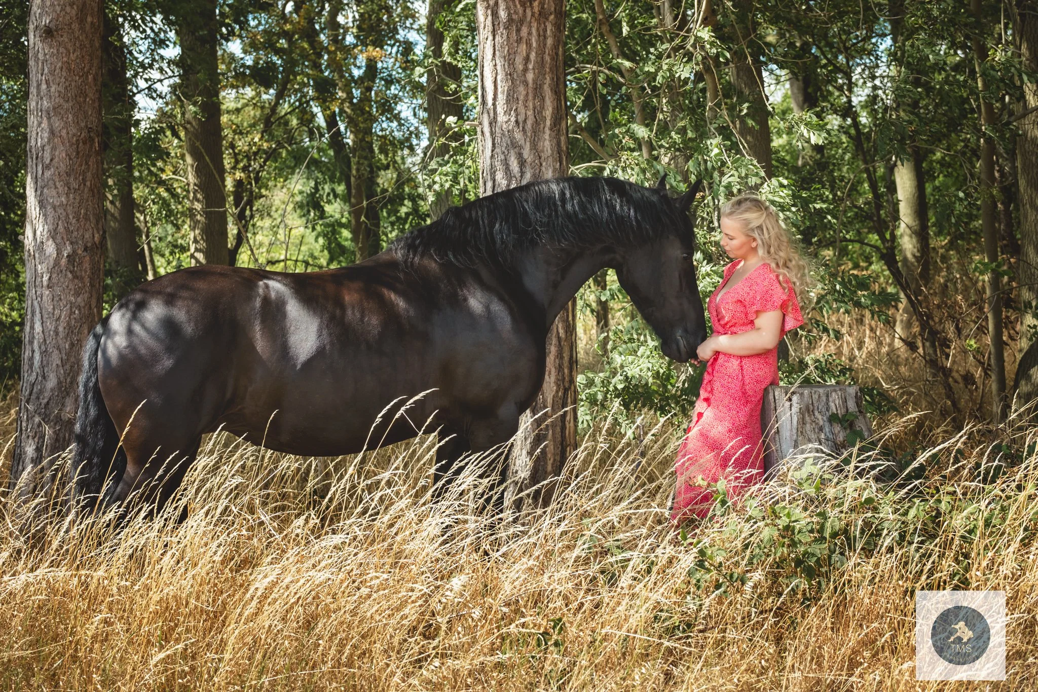 Olivia and her Friesian mare Moike enjoying a quiet moment together