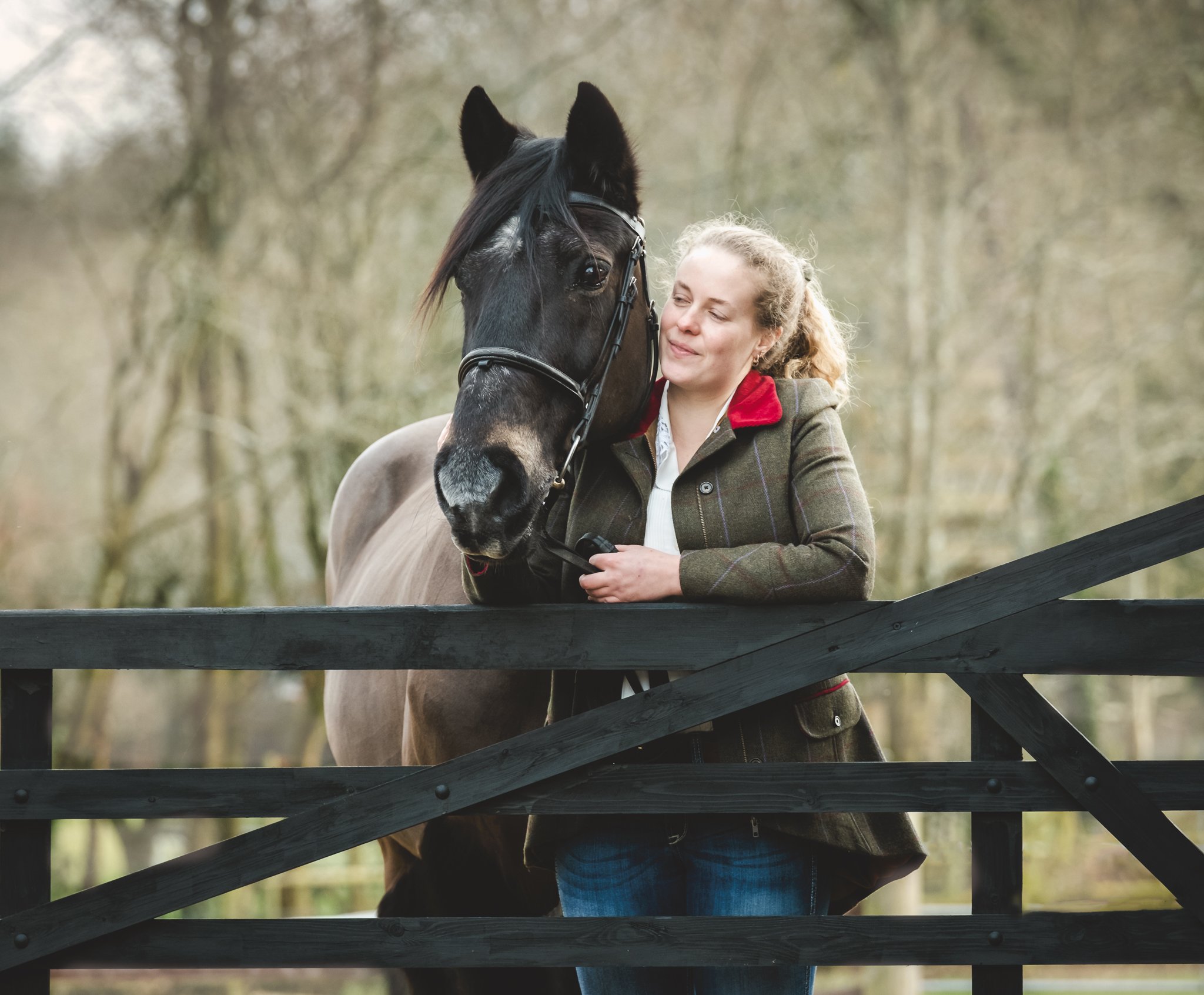 Natural horse photography wooden gates backdrop