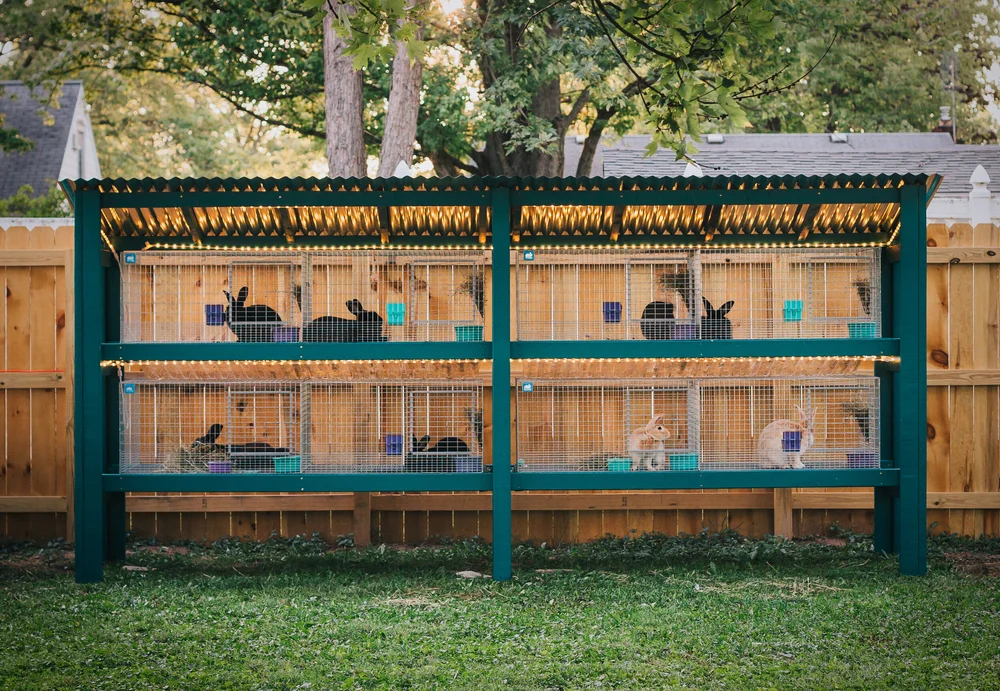 Diy Rabbit Cage
