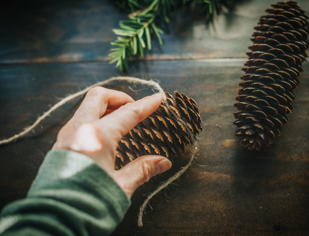 Weave the jute into the top of the pinecone