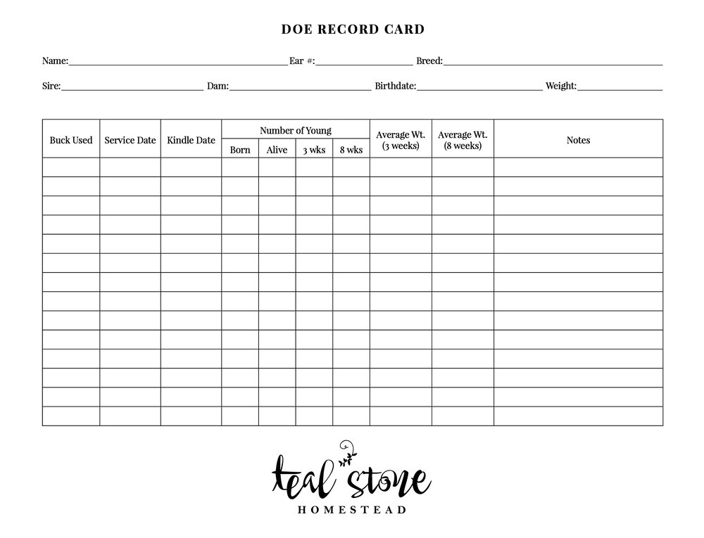Doe Record Card