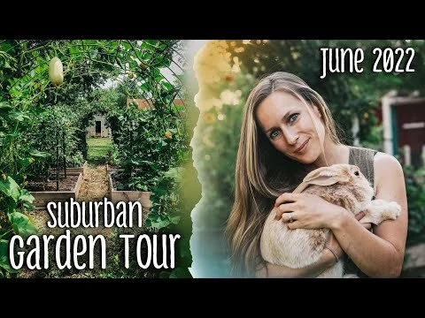 June 2022 Suburban GARDEN Tour - Feeding Garden Scraps to the RABBITS (Copy)