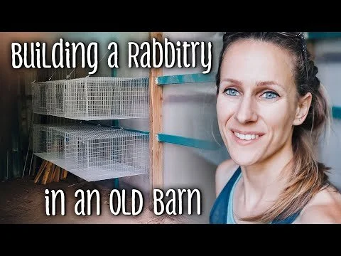 Building a RABBITRY in an Old Barn (Copy)