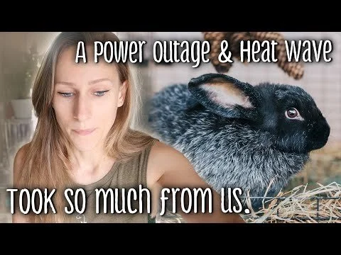 Losing belongings & animals due to a power outage and heat wave (Copy)