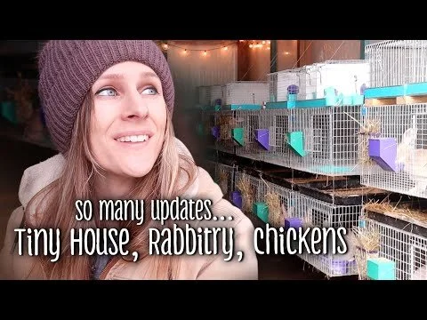 So many updates... Tiny House, Rabbitry, Chickens, and more! (Copy)