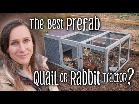 The Best PREFAB Quail or Rabbit Tractor? - Aivituvin Review (Copy)