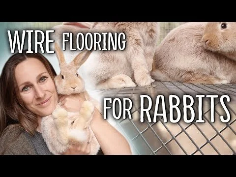Wire Flooring for Rabbits - The TRUTH (Tips for the best rabbit cage flooring) (Copy)