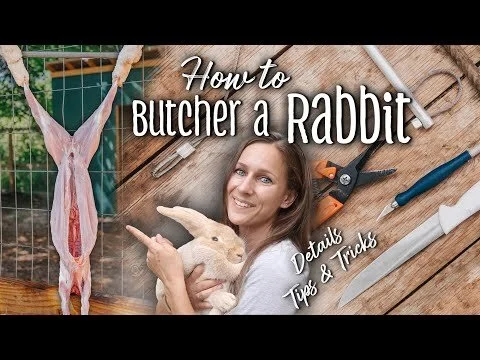 How to Butcher a Rabbit - Details + Tips & Tricks | Creme d'Argent meat rabbits (Copy)