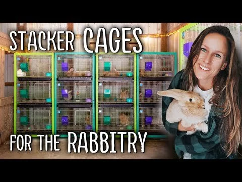 Creating STACKER CAGES for the Rabbitry | Creme d'Argent Meat Rabbits (Copy)
