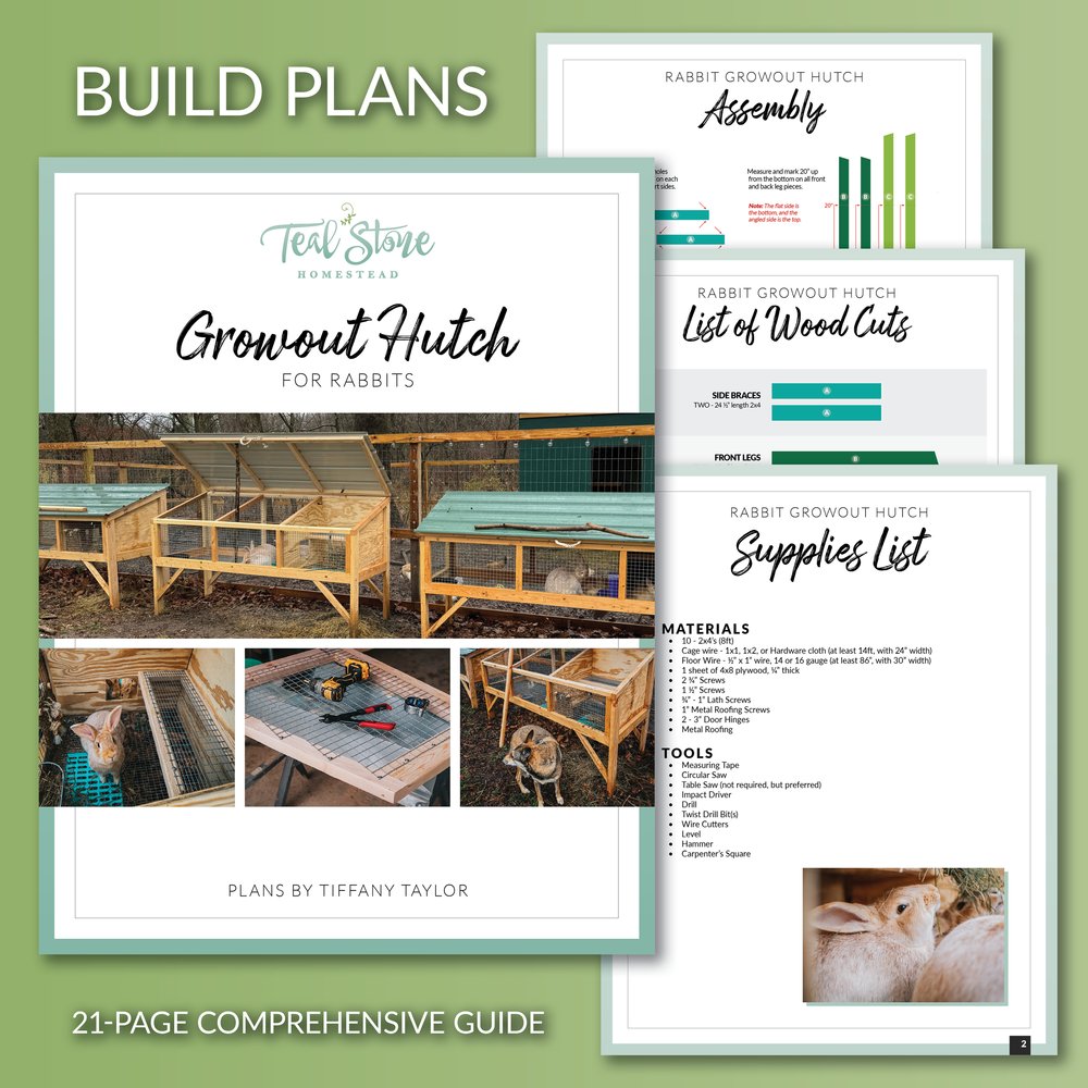 BUILD PLANS - Teal Stone Growout Hutch for Rabbits