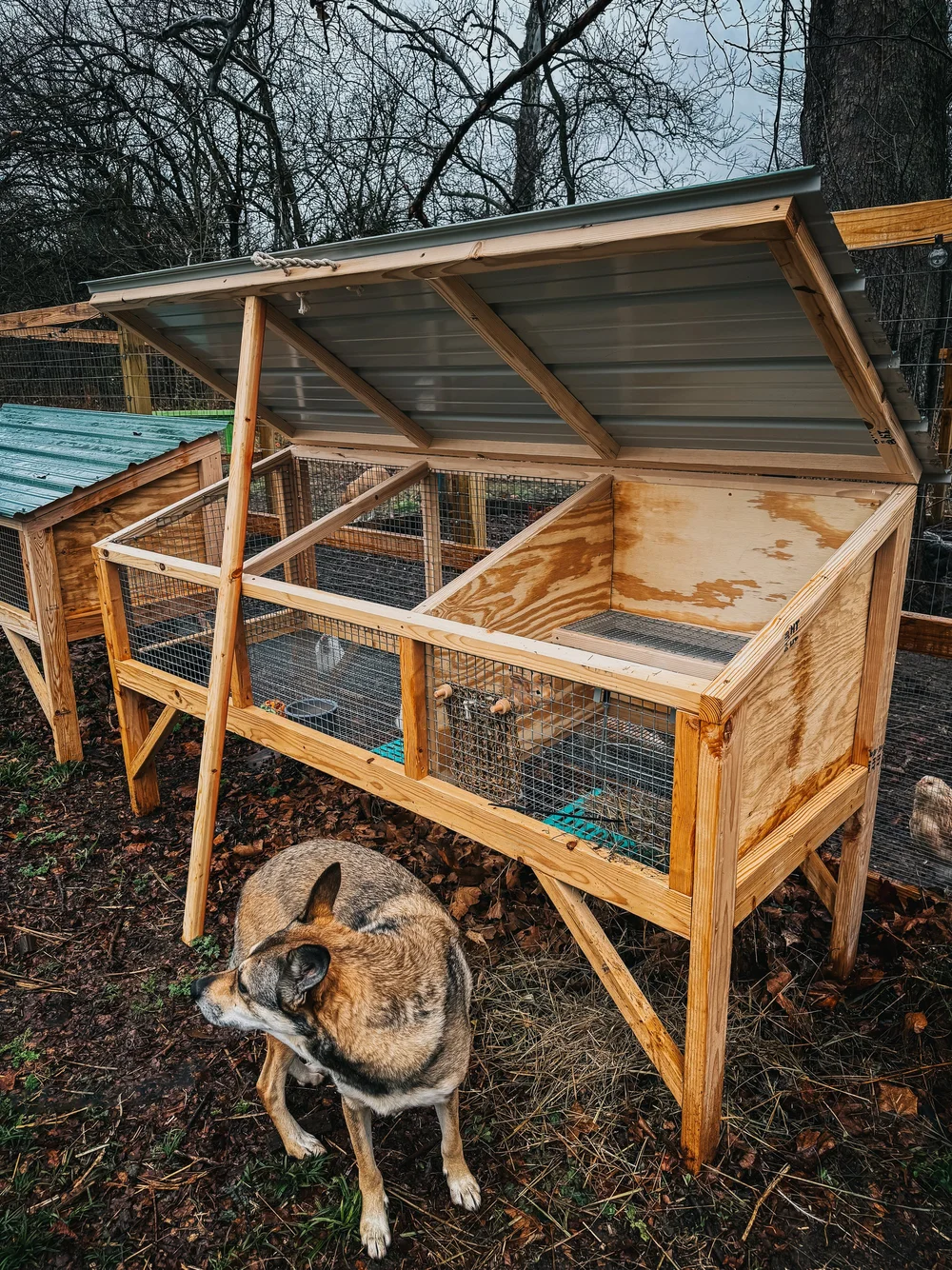 Bunny Hutch Plans Rabbit Grow Out Cage Pallet Rabbit Cage Outlet