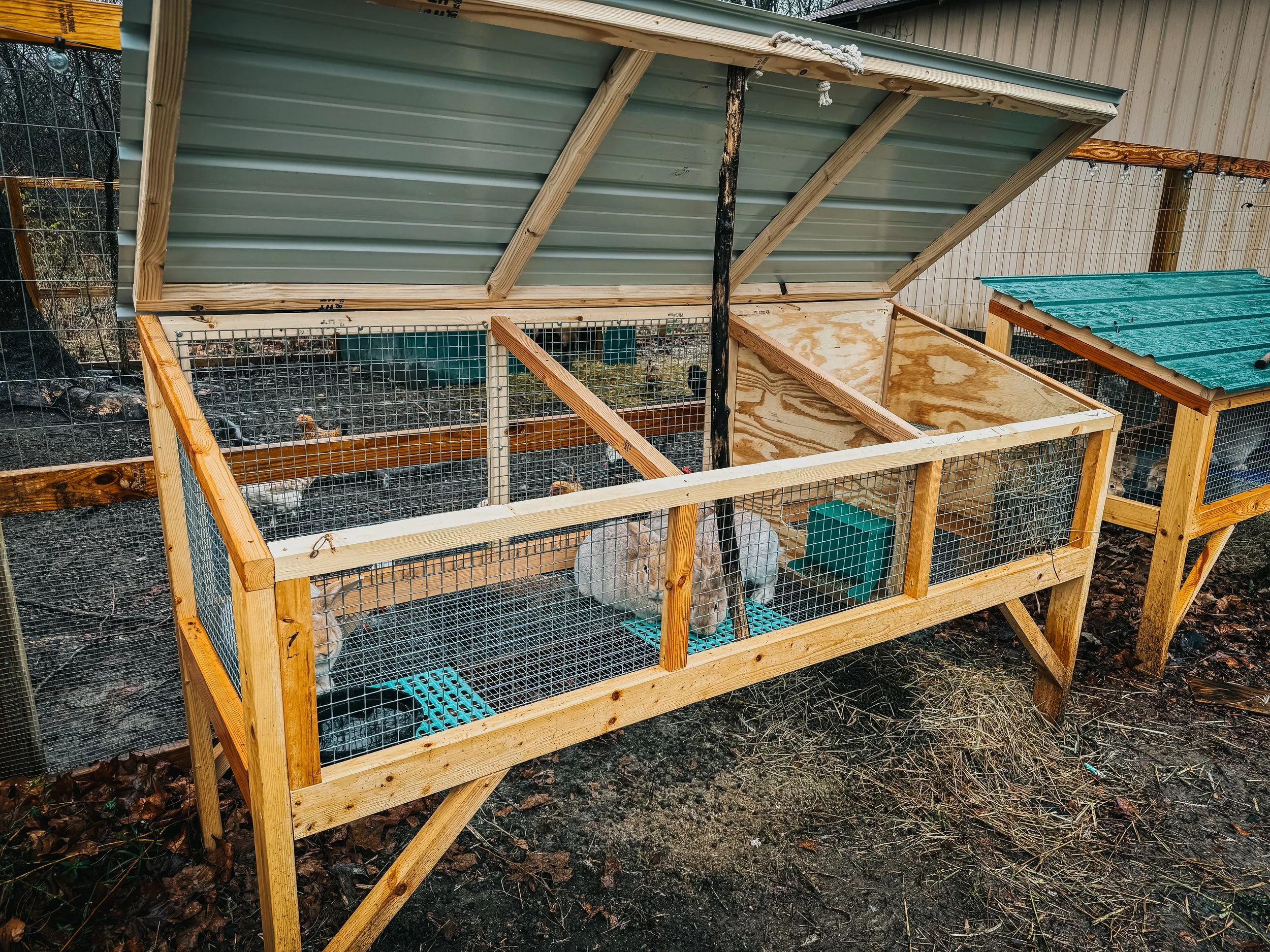 Rabbit Habitat Design For Cold Climates photo