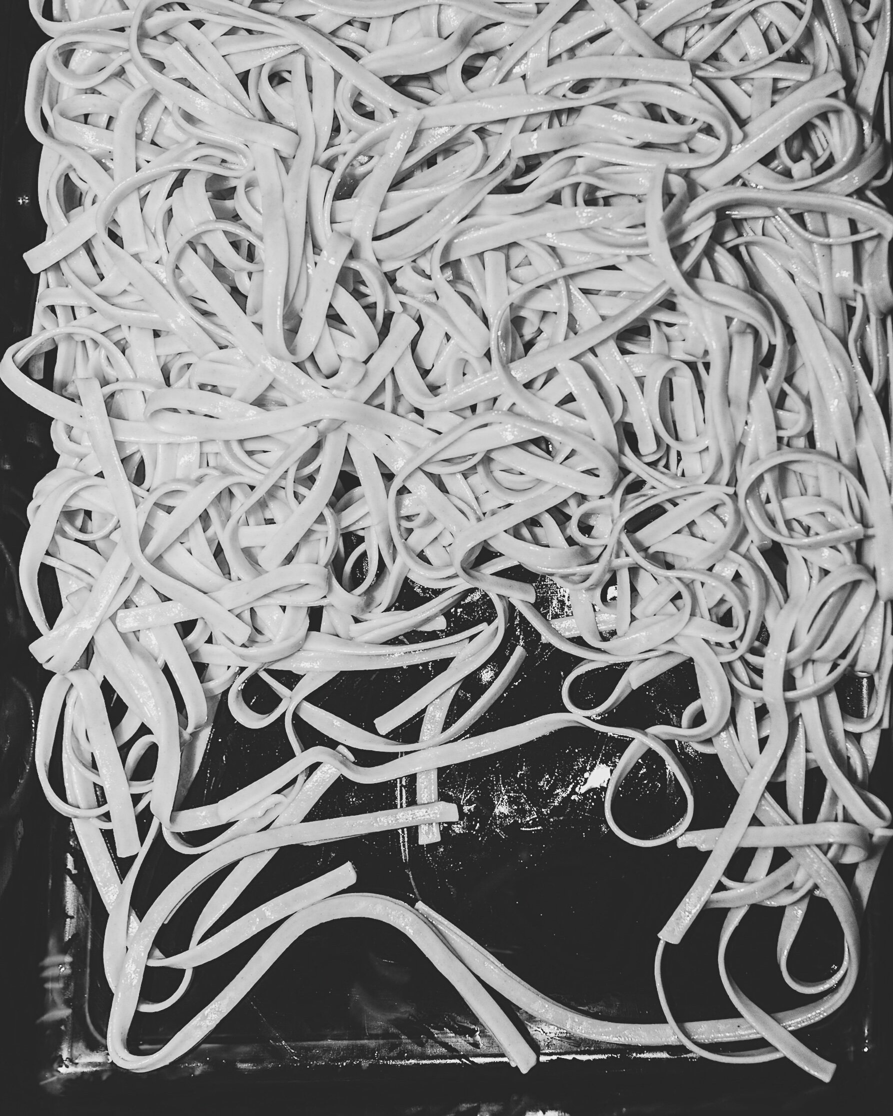 nightshade-noodle-ella-rinaldo-photography-5.jpg