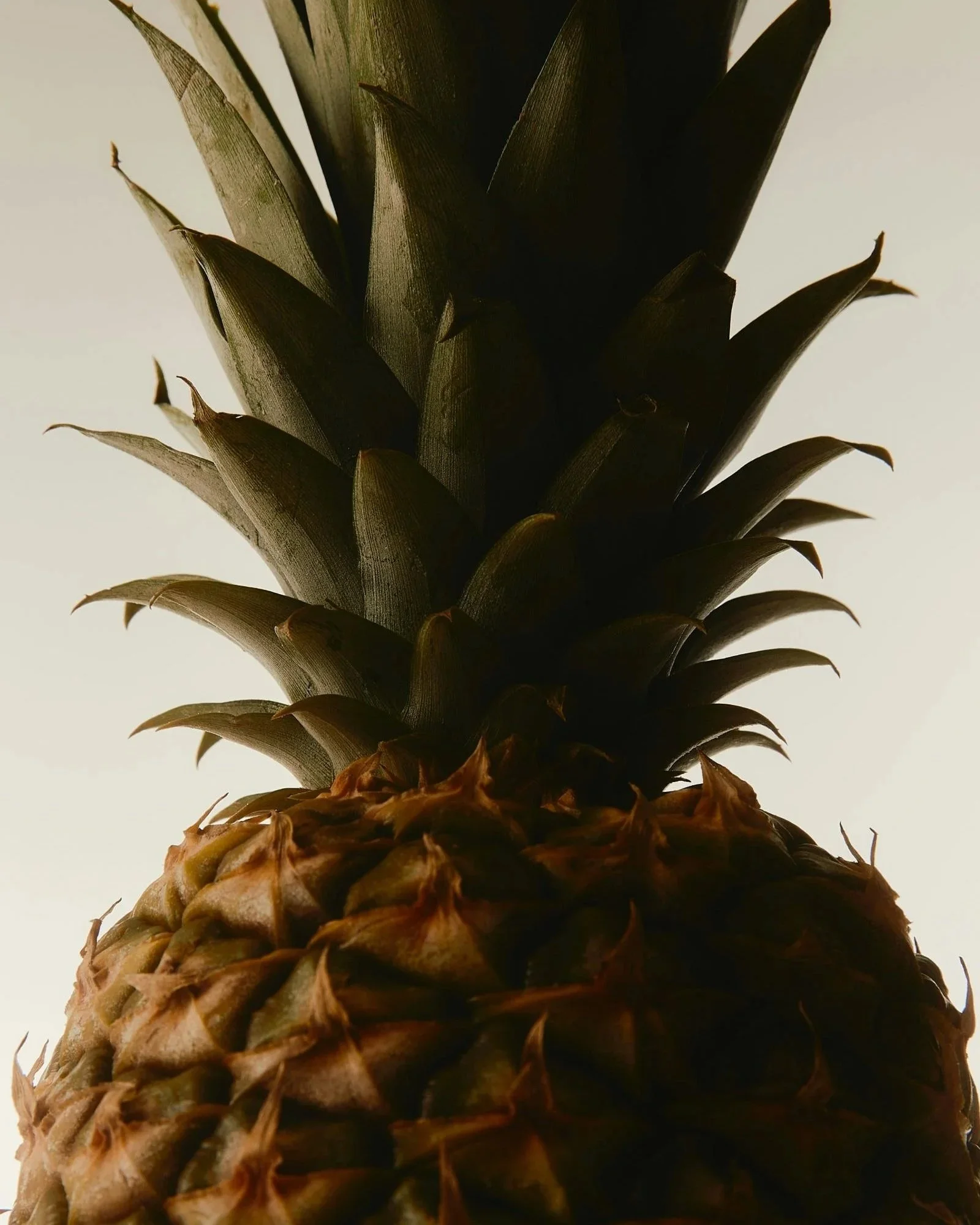 DTS_OBJECTS_Daniel_Far%C3%B2_Photo_ID7357.jpg