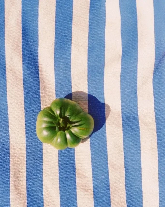 Summer+by+xoMe+Studio.jpg