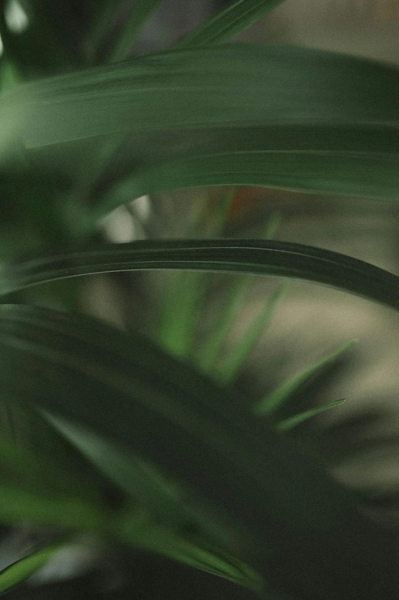 DTS_TERRA_Chris_Abatzis_Photo_ID13248.jpg