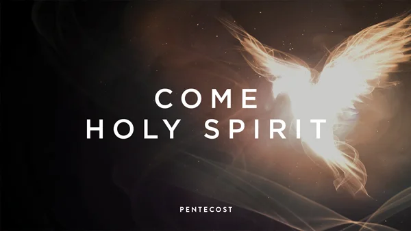 Considering the transformative power of the Holy Spirit in our lives, as described in Romans 8, and what happens when we surrender to the journey of walking in the Spirit.