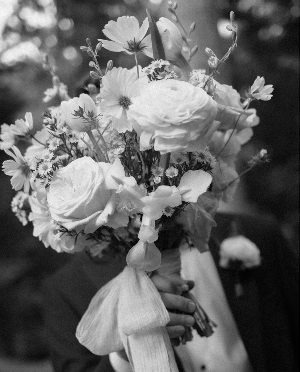 Screen Shot 2025-08-19 at 4.06.50 PM.png